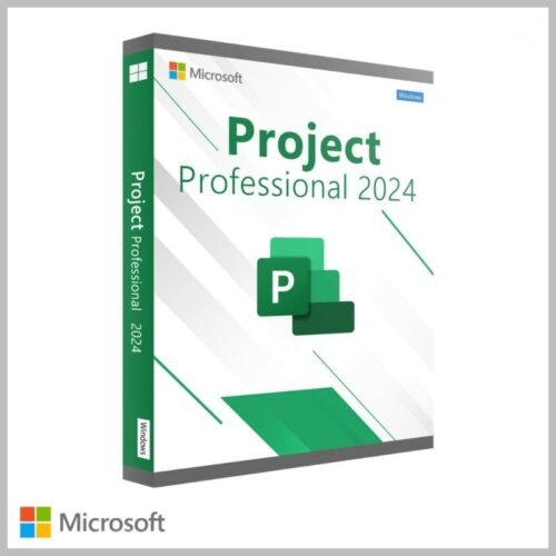 Microsoft Project Professional 2024